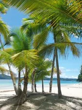 San Blas e Coiba 11gg - 20240814 122421