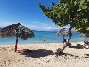Senderos de Cuba 22gg - 20191218 135742