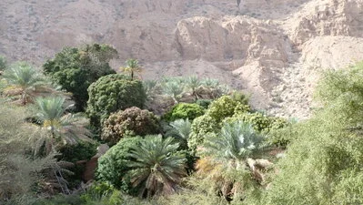 Oman misterioso 10gg - G3210132