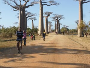 viale-baobab.jpg